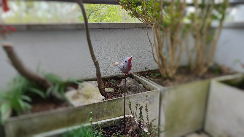 Realme GT 2 Pro - Originalaufnahmen