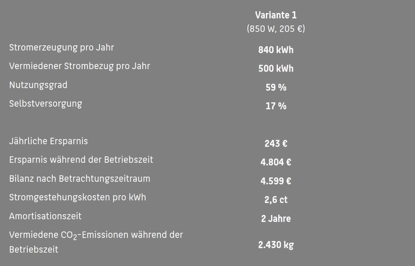 Das BKW für 204 Euro rechnet sich bereits nach zwei Jahren.