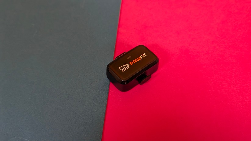 Pawfit Lite – Bilderstrecke