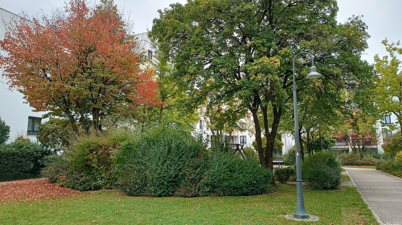 Motorola Edge 20 Lite