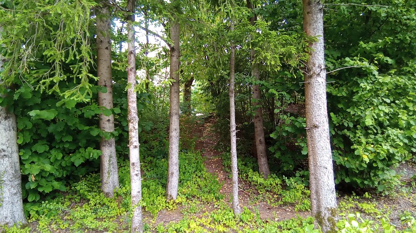 Samsung Galaxy Tab A7 Lite