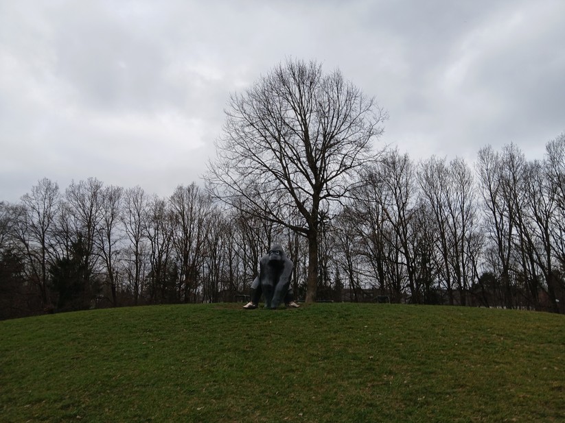 Samsung Galaxy Xcover 7 - Originalaufnahmen 