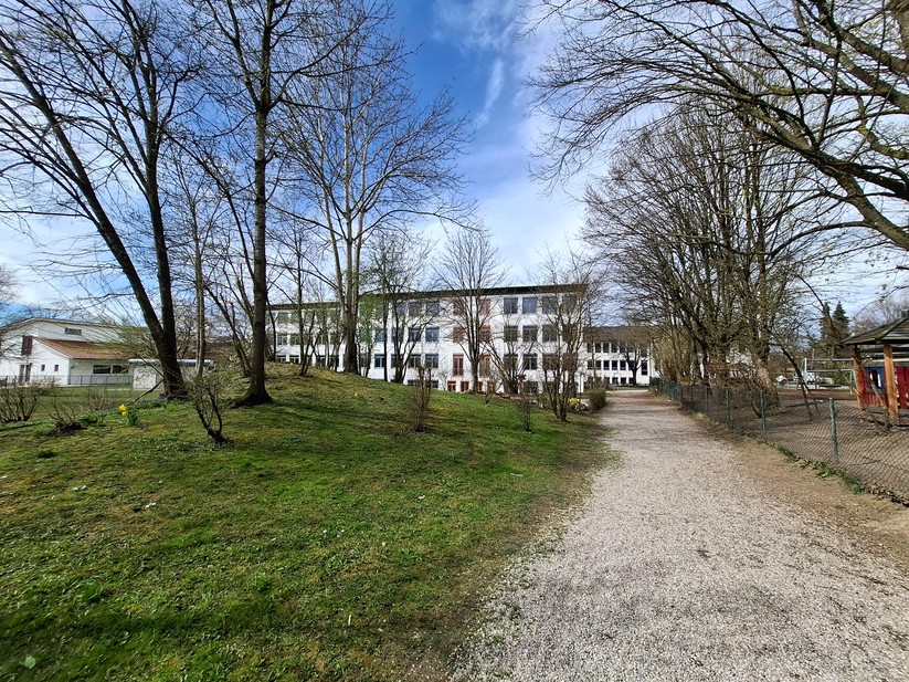 Samsung Galaxy A55 – Originalaufnahmen