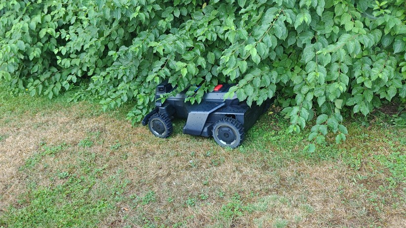 Unter Büsche fährt der Segway Navimow X420 nur, wenn man entsprechende Bereiche mit einer Vision-Fence-Aus-Zone markiert. Dadurch wird die visuelle Hinderniserkennung deaktiviert.