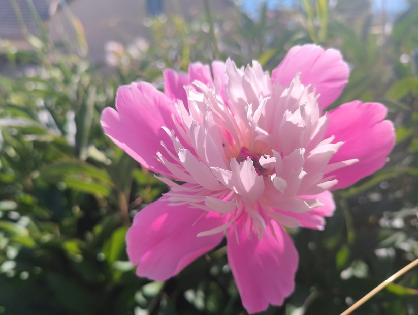 Oukitel WP100 Titan - Originalaufnahmen 