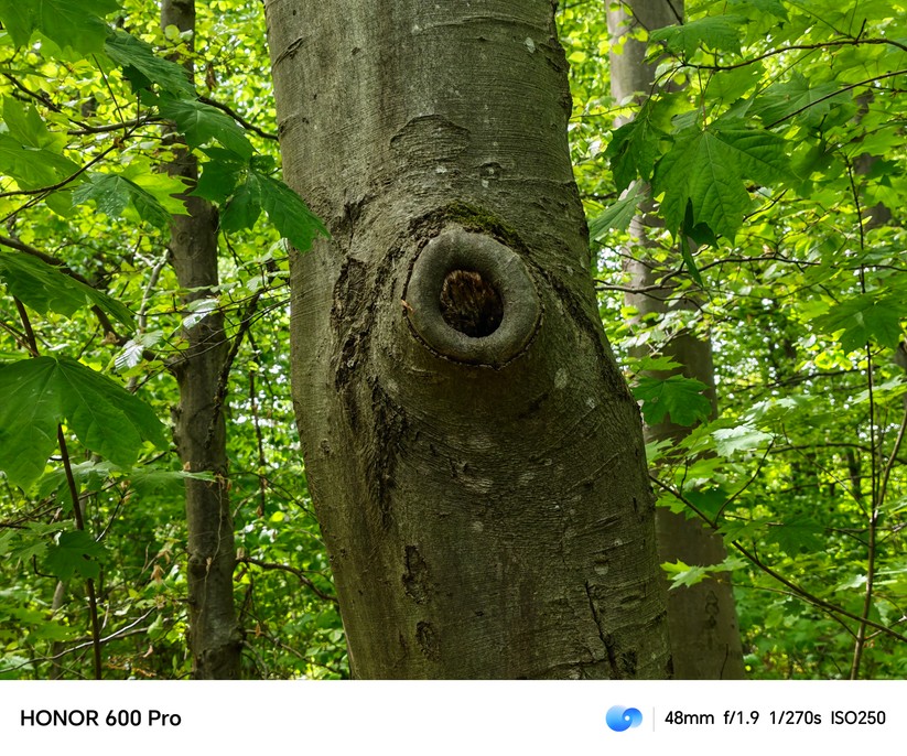  Hauptkamera mit 2x Zoom 