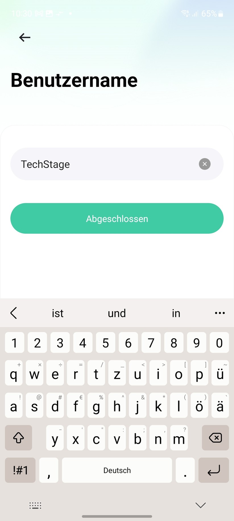 Annke Whiffle (M136): Setup mit App Vico Home