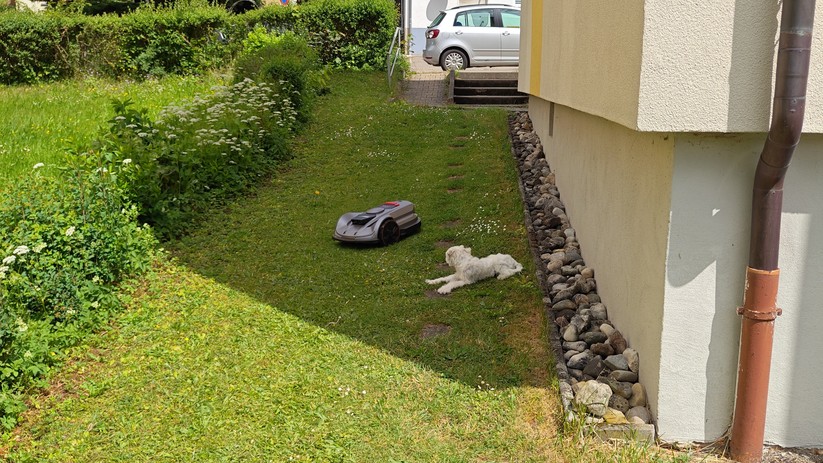 Die Hinderniserkennung hat im Test einwandfrei funktioniert. Unseren Hund hat er großräumig umfahren.