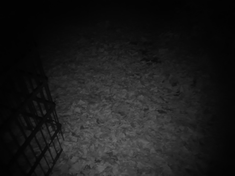 Oukitel WP60 - Originalaufnahmen 