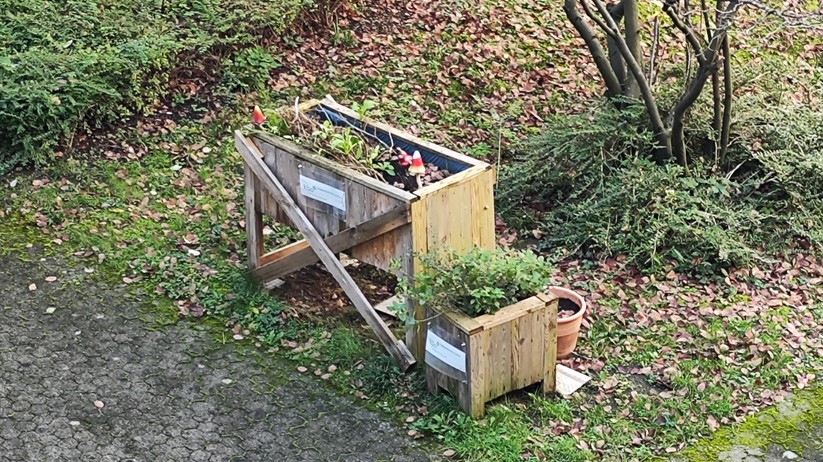 Xiaomi 12T Pro - Originalaufnahmen