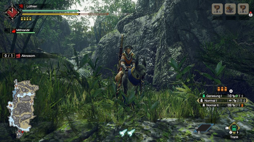 Monster Hunter Rise  25