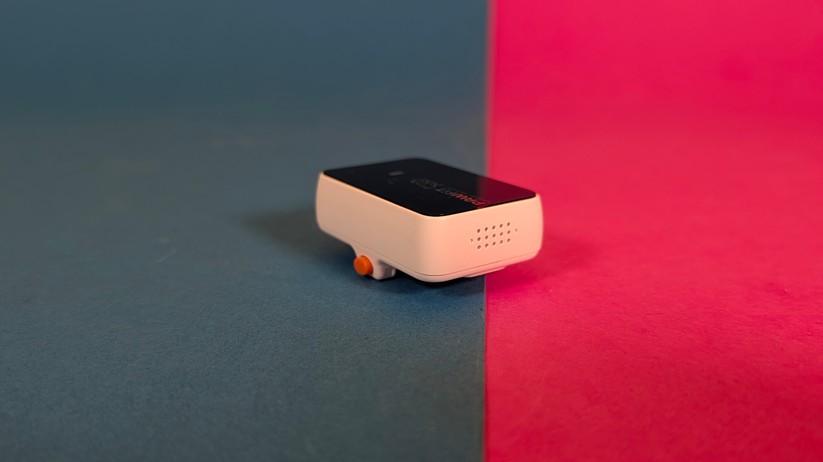 Pawfit 3 – Bilderstrecke