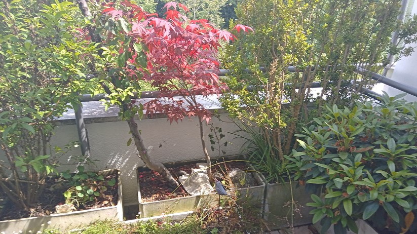 Fotos des Nokia G10