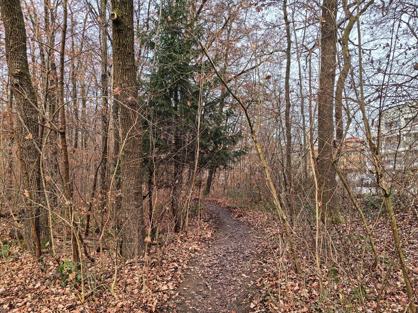 Huawei Pura 80 Pro - Originalaufnahmen