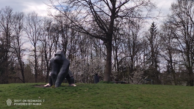 Nubia RedMagic 7 - Originalaufnahmen