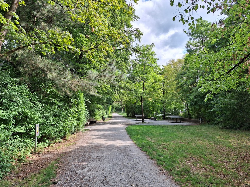 Samsung Galaxy A54 - Originalaufnahmen 