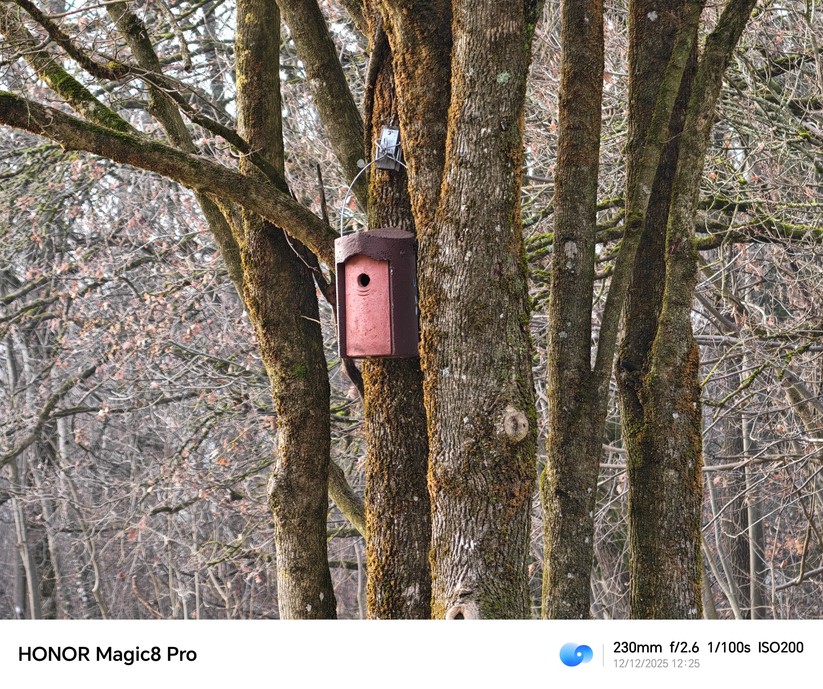 Honor Magic 8 Pro - Originalaufnahmen 