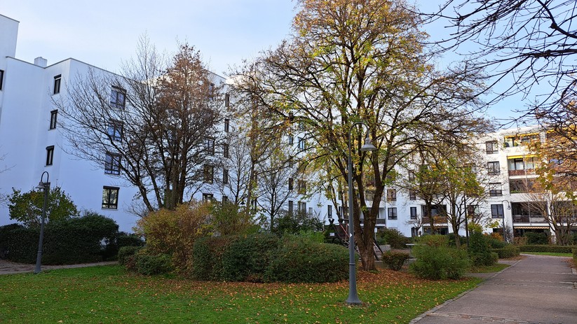 Samsung Galaxy A53 - Originalaufnahmen 