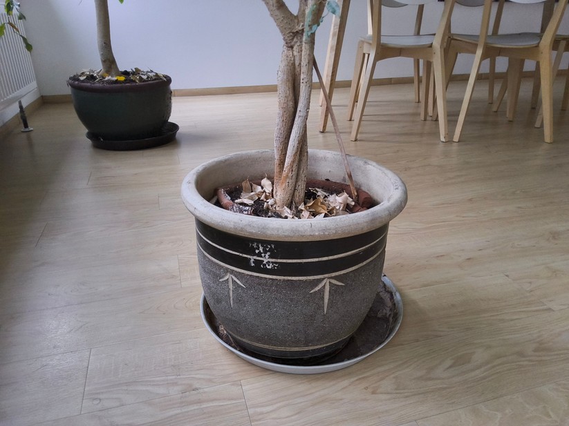 Samsung Galaxy Tab S11 Ultra