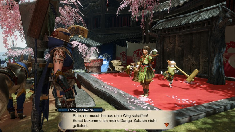 Monster Hunter Rise  12