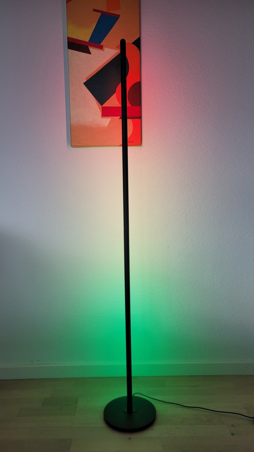 Govee Floor Lamp Basic