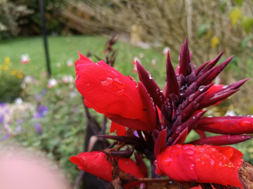 Motorola Moto G56 5G – Originalaufnahmen