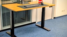 Flexispot E9