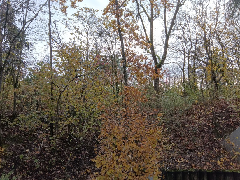 Alldocube iPlay 50 Mini Pro 