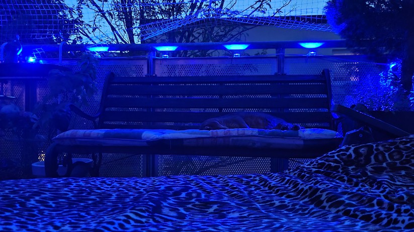 Govee Permanent Outdoor Lights (H705A)