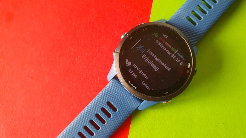 Garmin Forerunner 255