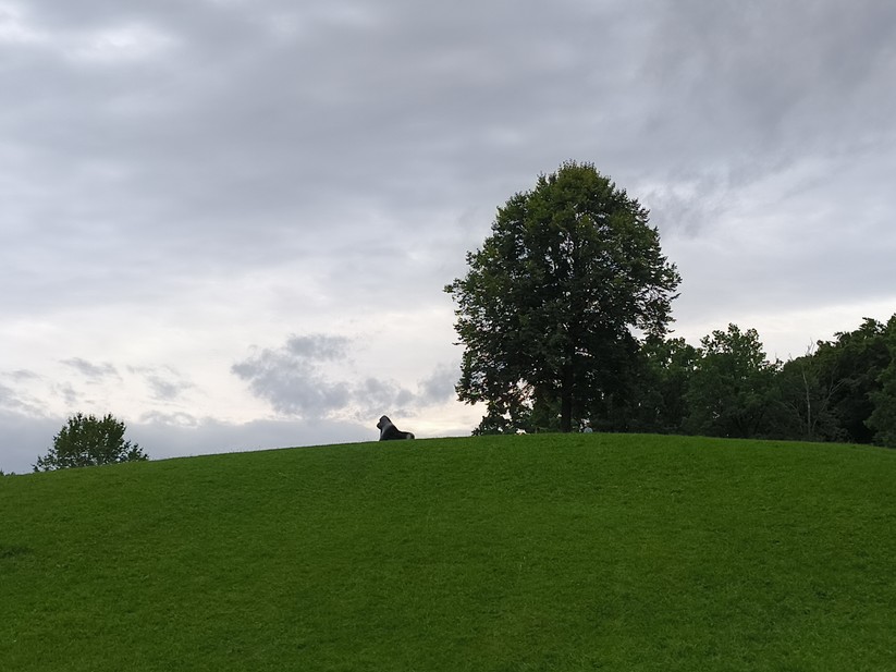 Ulefone Armor 34 Pro - Originalaufnahmen