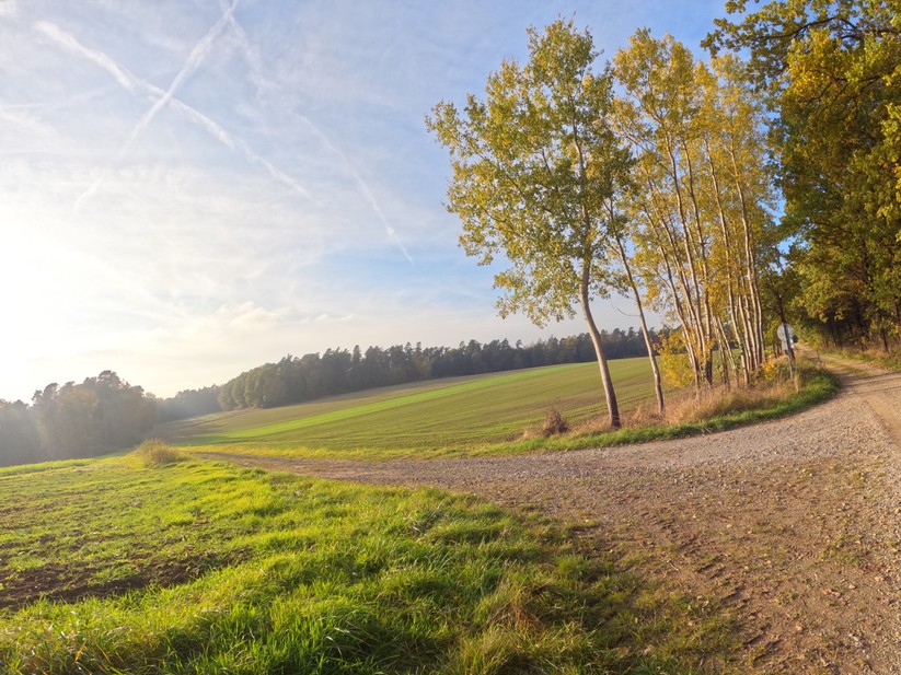 GoPro Hero10 Black: Details wie Blätter oder Steine am Weg arbeitet die Actioncam ordentlich heraus.