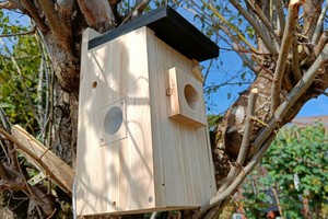 Smarten Nistkasten selber bauen: Vogelhaus mit Kamera, WLAN & Solar im Test