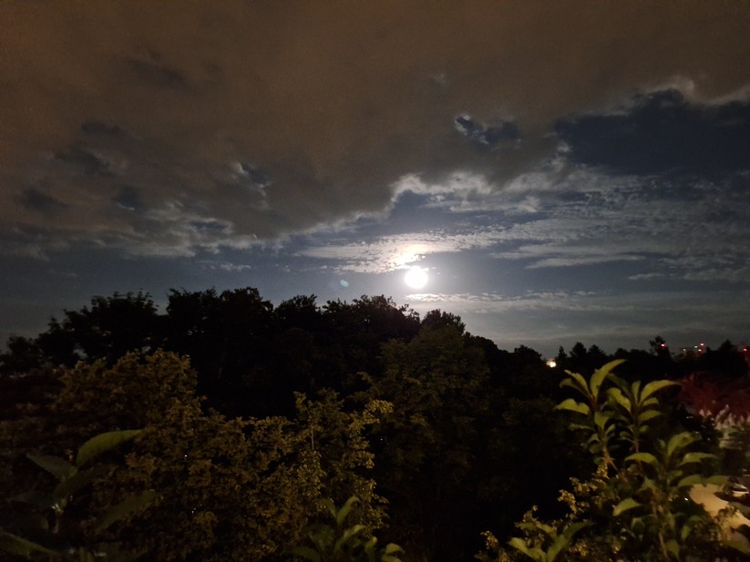 Samsung Galaxy A54 - Originalaufnahmen 