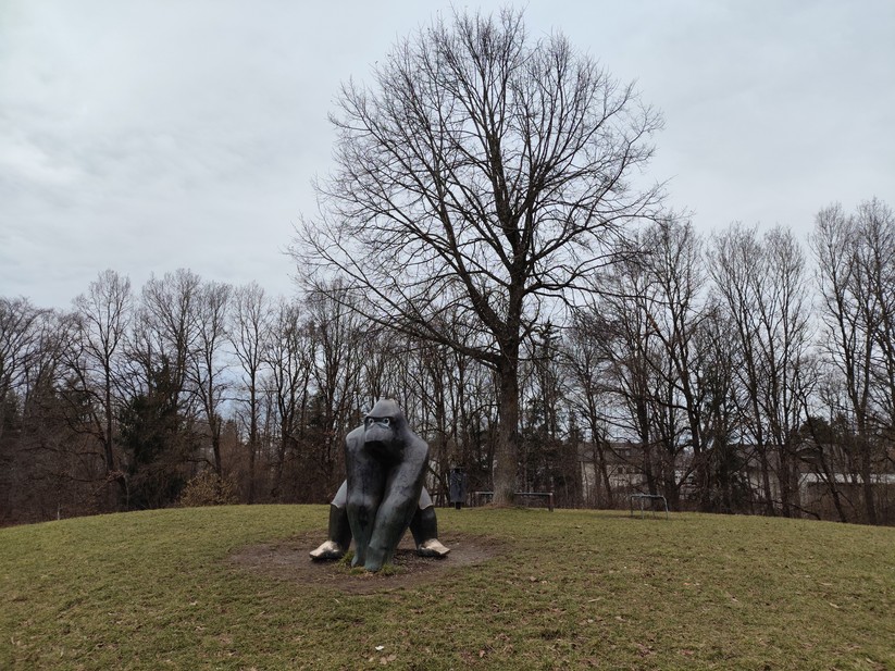 Xiaomi Poco X6 - Originalaufnahmen