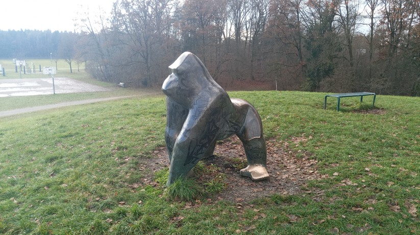 Blackview BV7100 - Originalaufnahmen