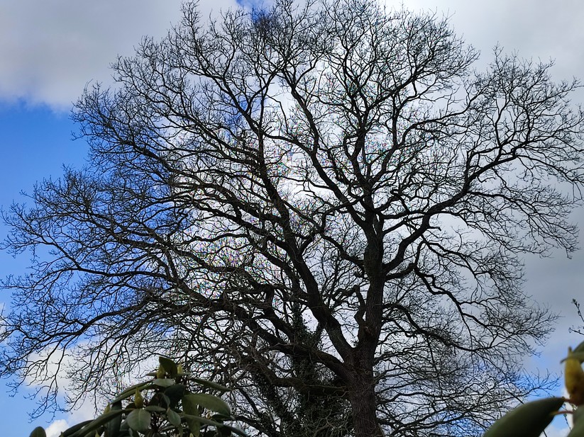 Xiaomi Redmi Note 10 Pro