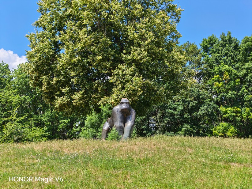 Honor Magic V6: Hauptkamera (2x Zoom)