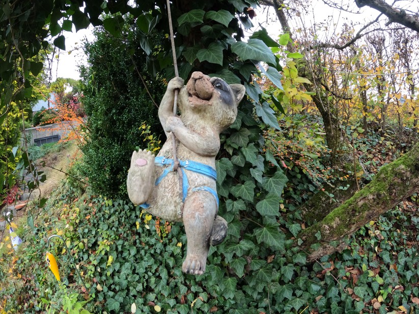 GoPro Hero10 Black: Und auch bei Nahaufnahmen gibt es an der Bildqualität nichts zu meckern.