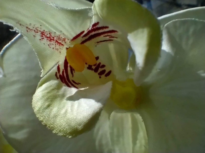 Fotoaufnahme des Nokia 5.4