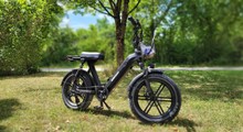 Himiway Escape Pro mit 20-Zoll-Breitreifen, 250-Watt-Hinterradmotor und 840-Wh-Akku