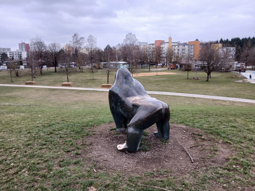 Samsung Galaxy Xcover 7 - Originalaufnahmen 