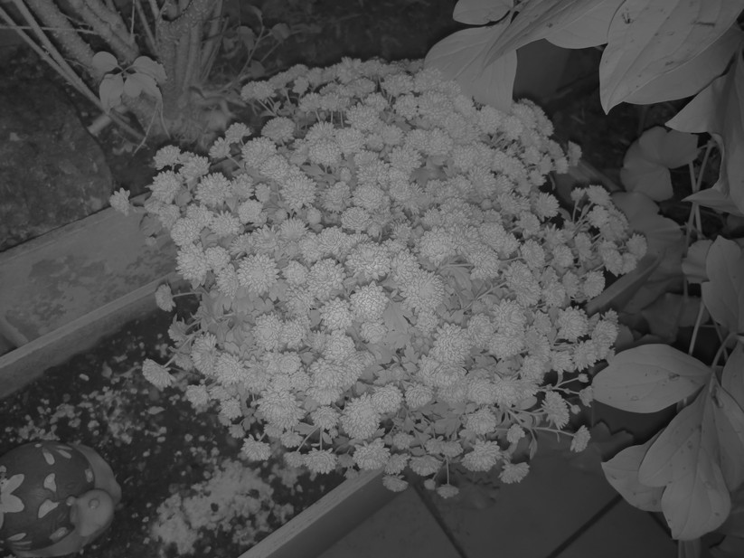 Ulefone Armor 34 Pro - Originalaufnahmen