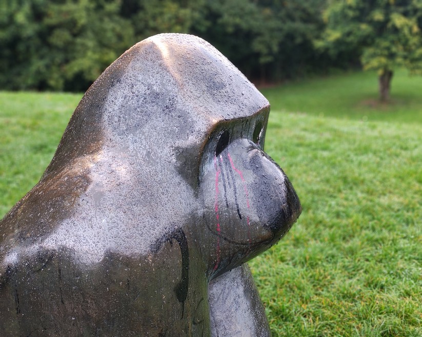 Honor 400 - Originalaufnahmen