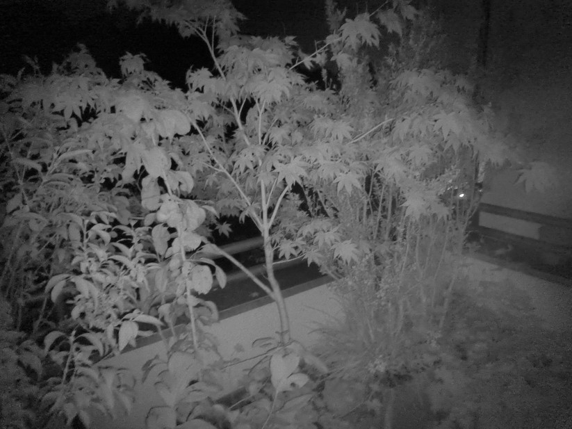 Blackview Xplore 2 - Originalaufnahmen