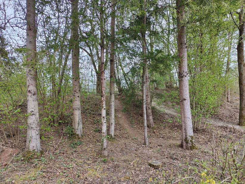 Realme GT 2 Pro - Originalaufnahmen 