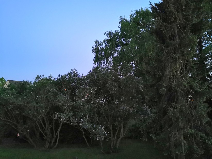 Dämmerung mit AI-Einstellung