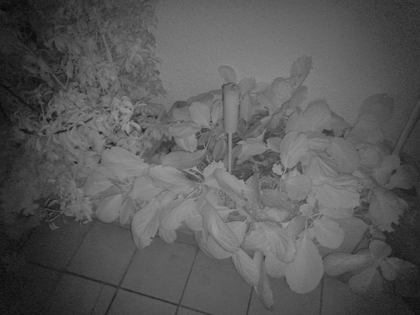 Blackview Xplore 2 - Originalaufnahmen