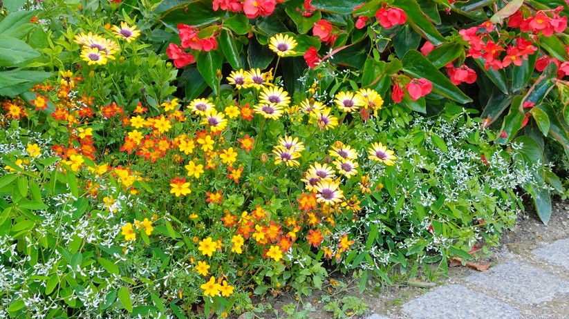 Redmagic 10 Air - Originalaufnahmen 