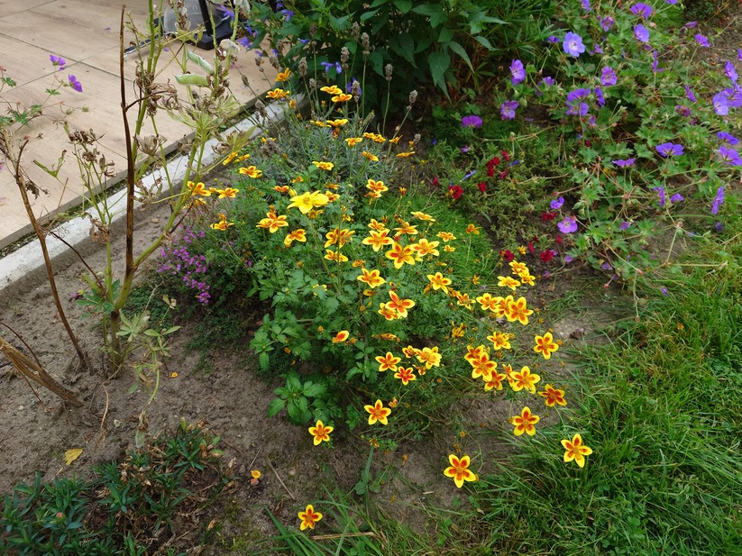 Sony Xperia 1 VII - Originalaufnahmen 